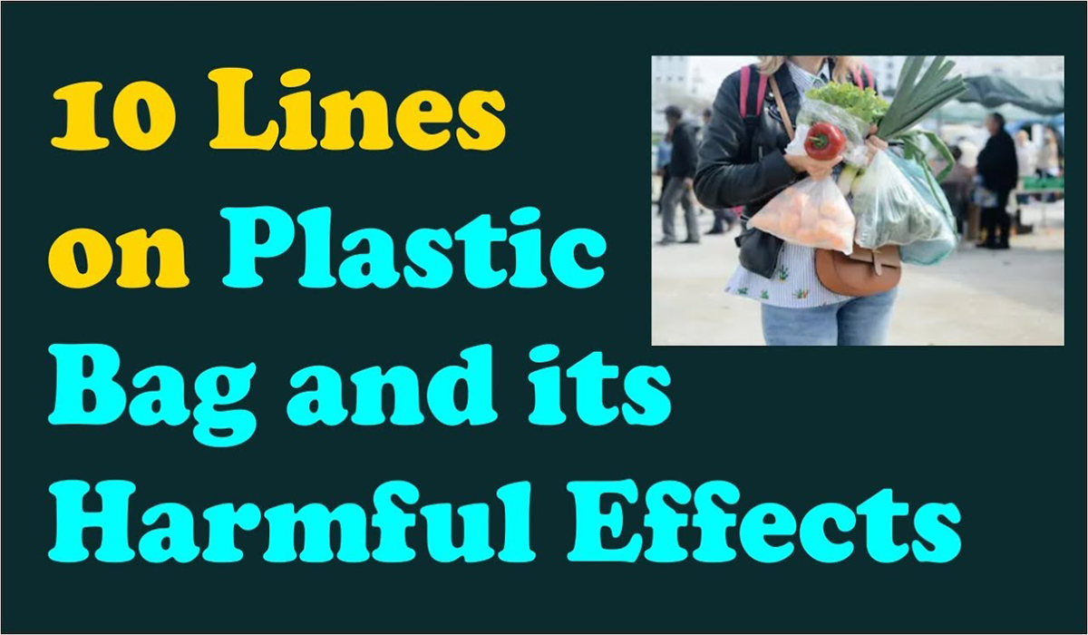 Effects Of Plastic On Nature And Human Beings